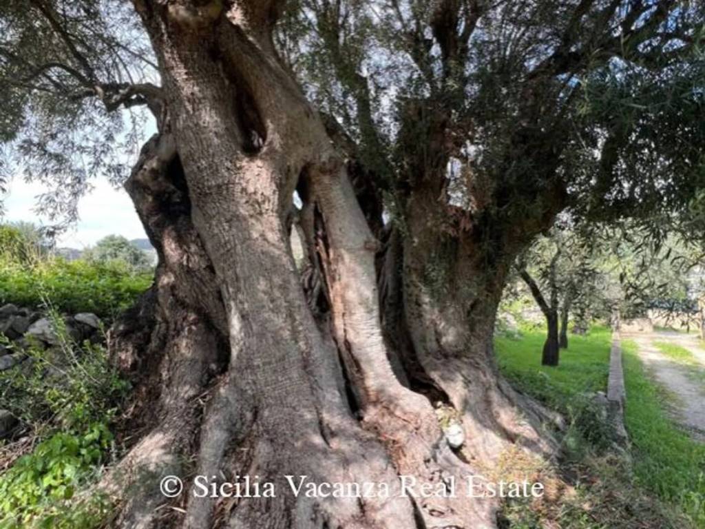 Villa a Avola in Urb. Bellapettinata Chiusa Cavalli - Bochini - Montagna - Foto 4