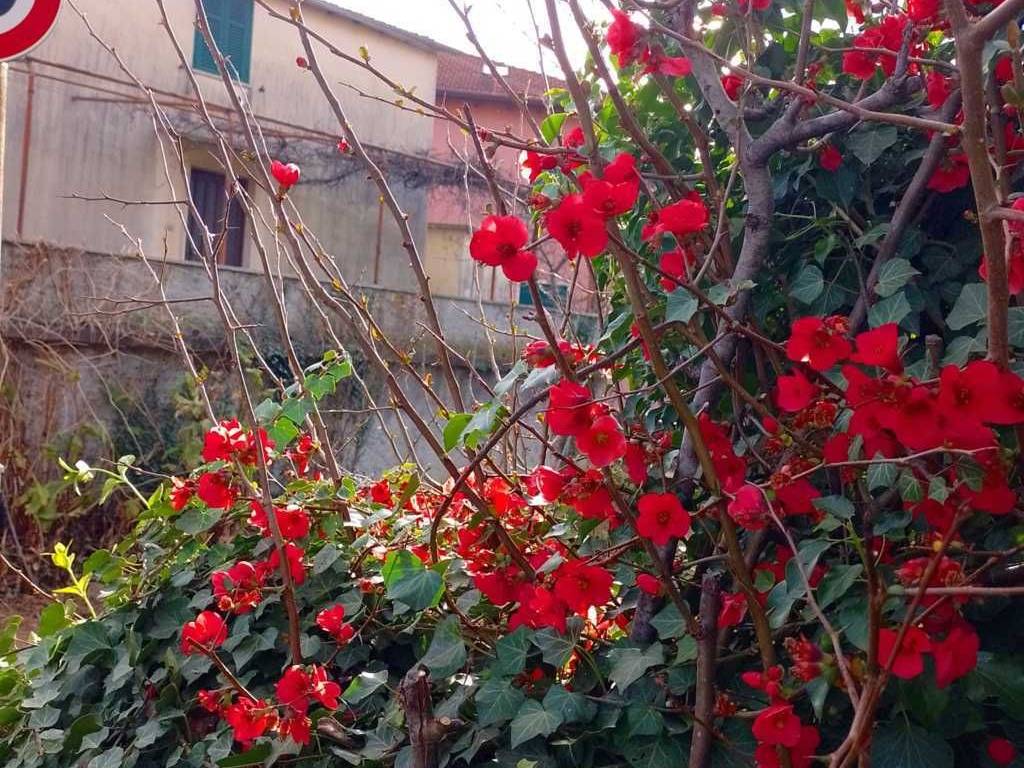 Rustico / casale a Andora - Foto 2