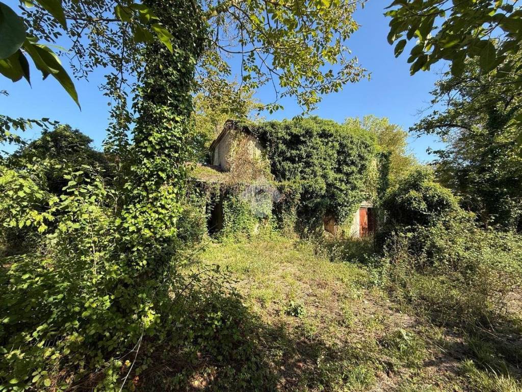 Casa indipendente a Pignataro interamna in VIA TERMINE - Foto 3