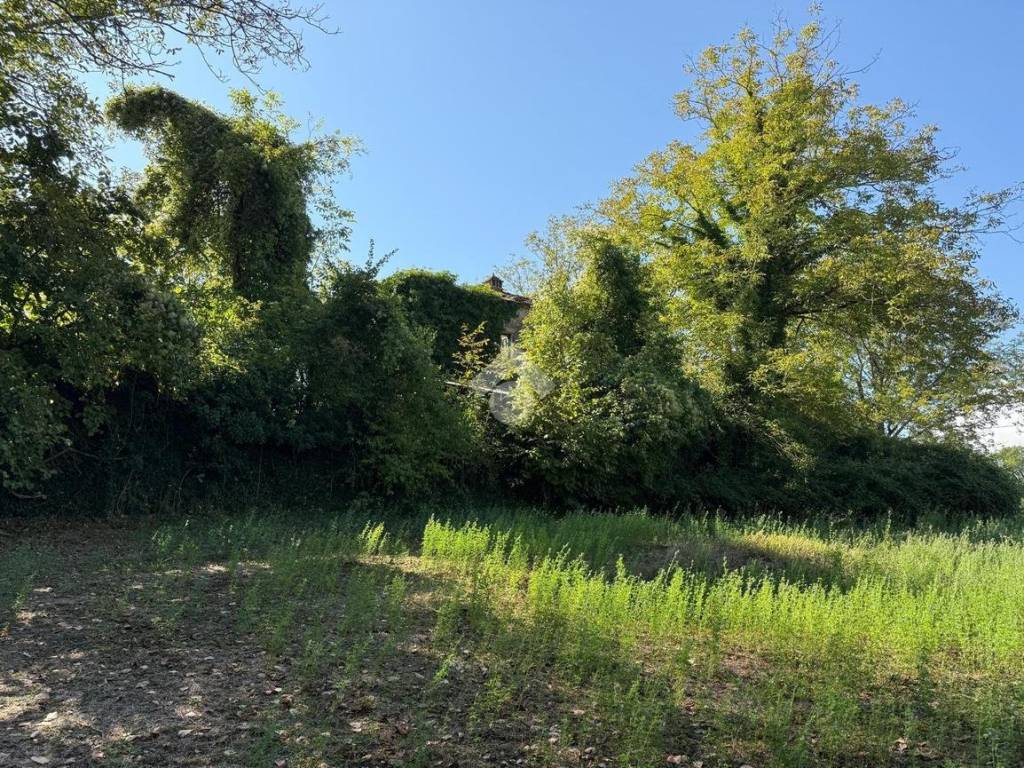 Casa indipendente a Pignataro interamna in VIA TERMINE - Foto 4