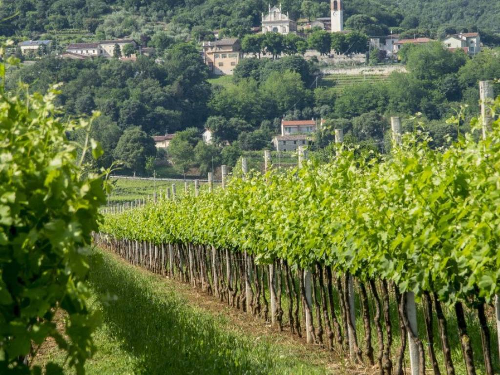 Appartamento a Castegnero in Via Roma - Foto 2