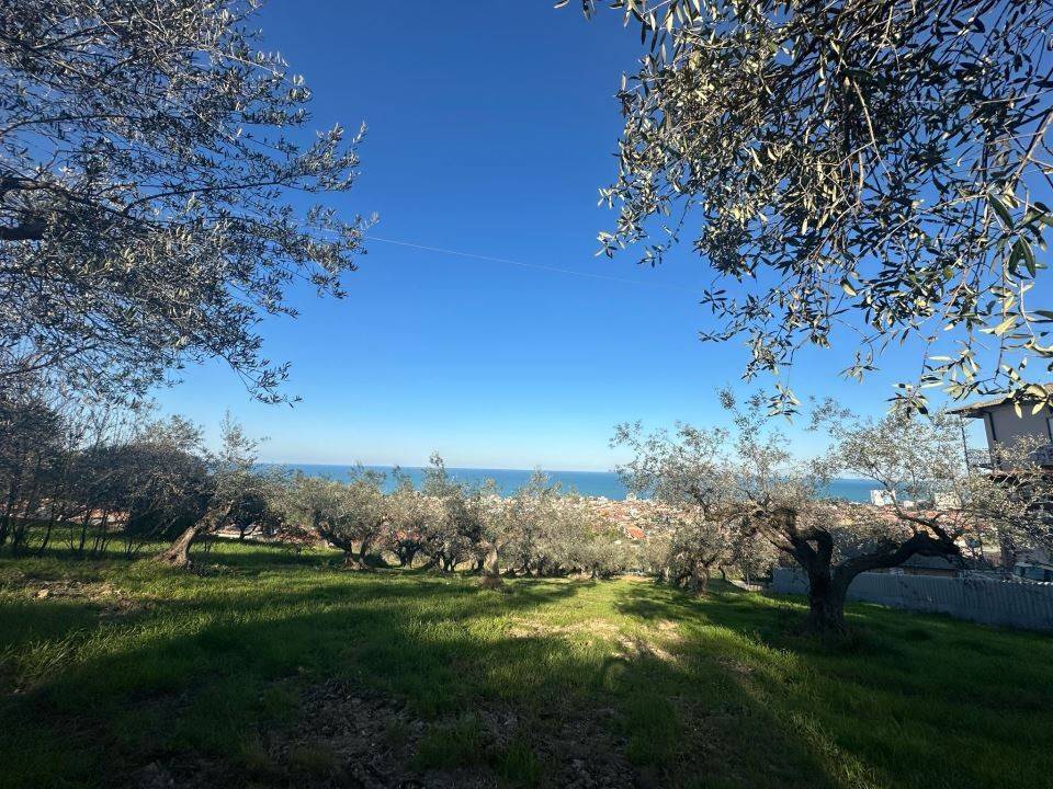 Terreno a Silvi in Contrada San Silvestro - Foto 2