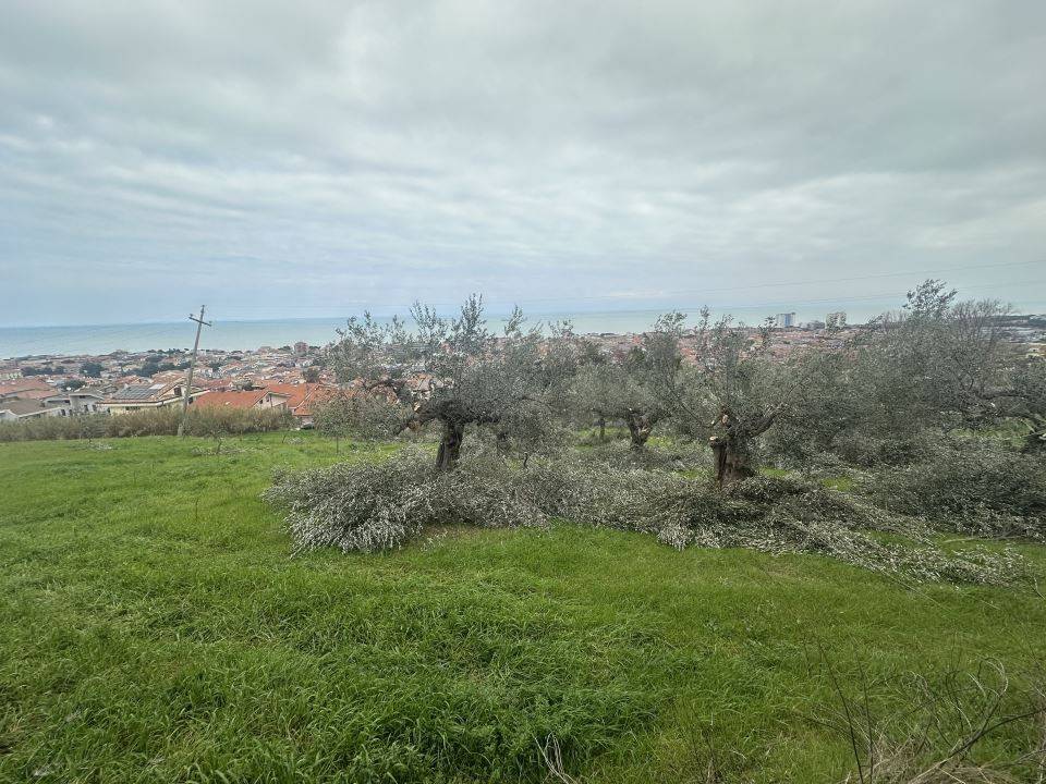 Terreno a Silvi in Contrada San Silvestro - Foto 5