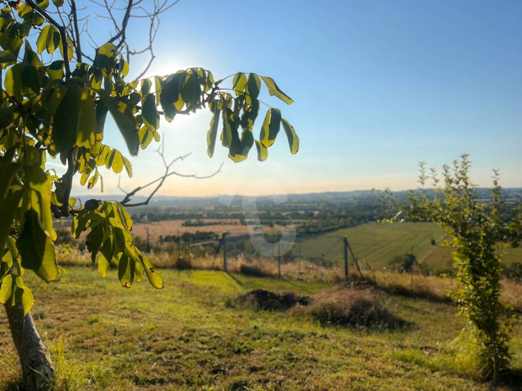 Rustico / casale a Jesi - Foto 4