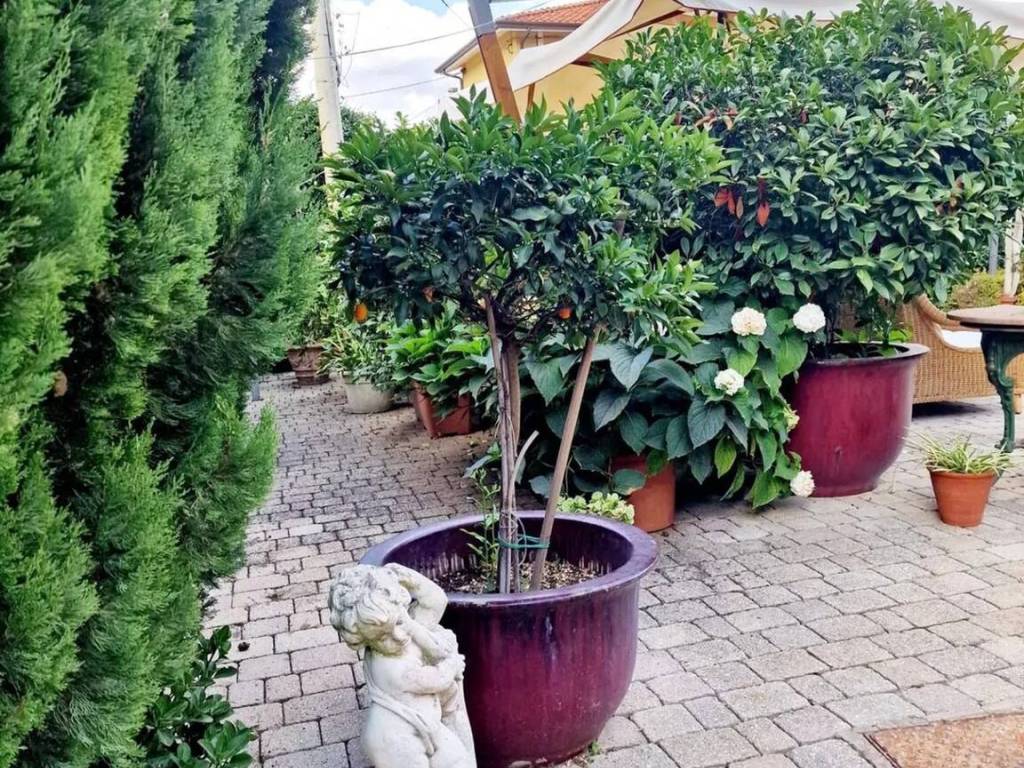 Appartamento a Ameglia in Area Residenziale Bocca Di Magra Bocca Di Magra - Foto 2