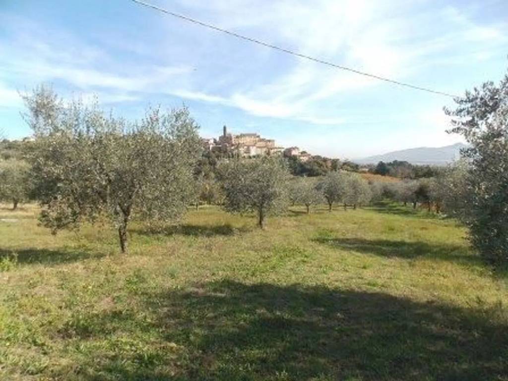 Terreno a Spinetoli - Foto 2