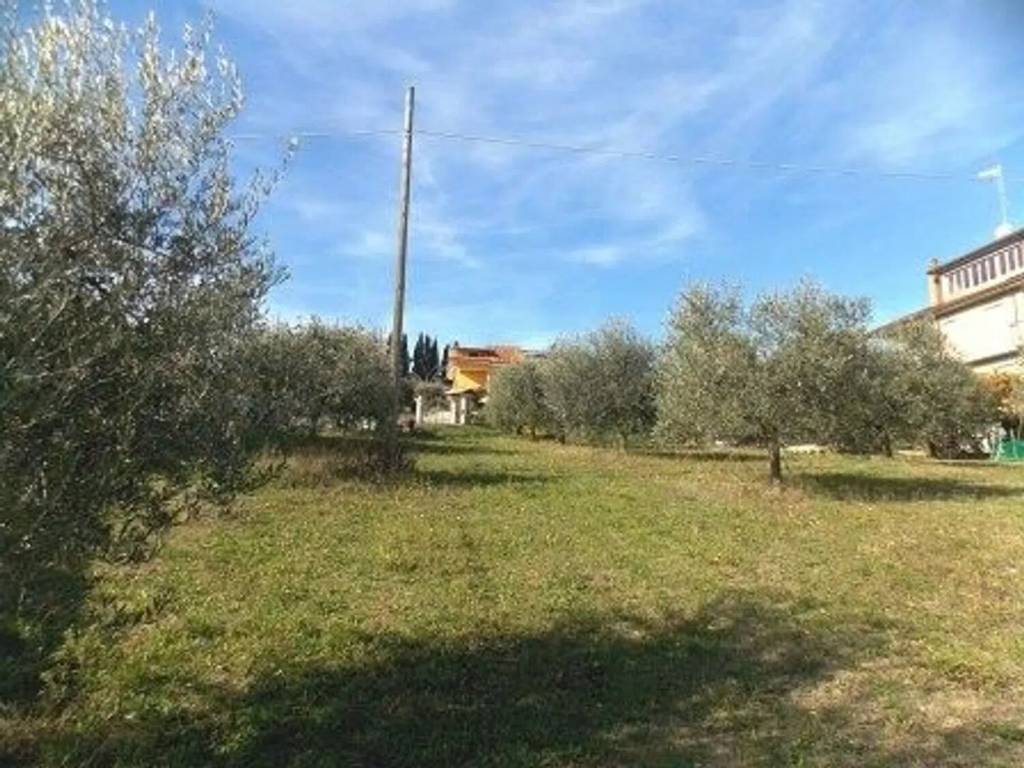 Terreno a Spinetoli - Foto 3