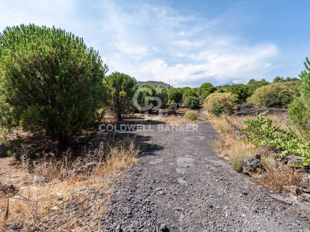 Terreno a Nicolosi in Via Ragala Montarso - Foto 3