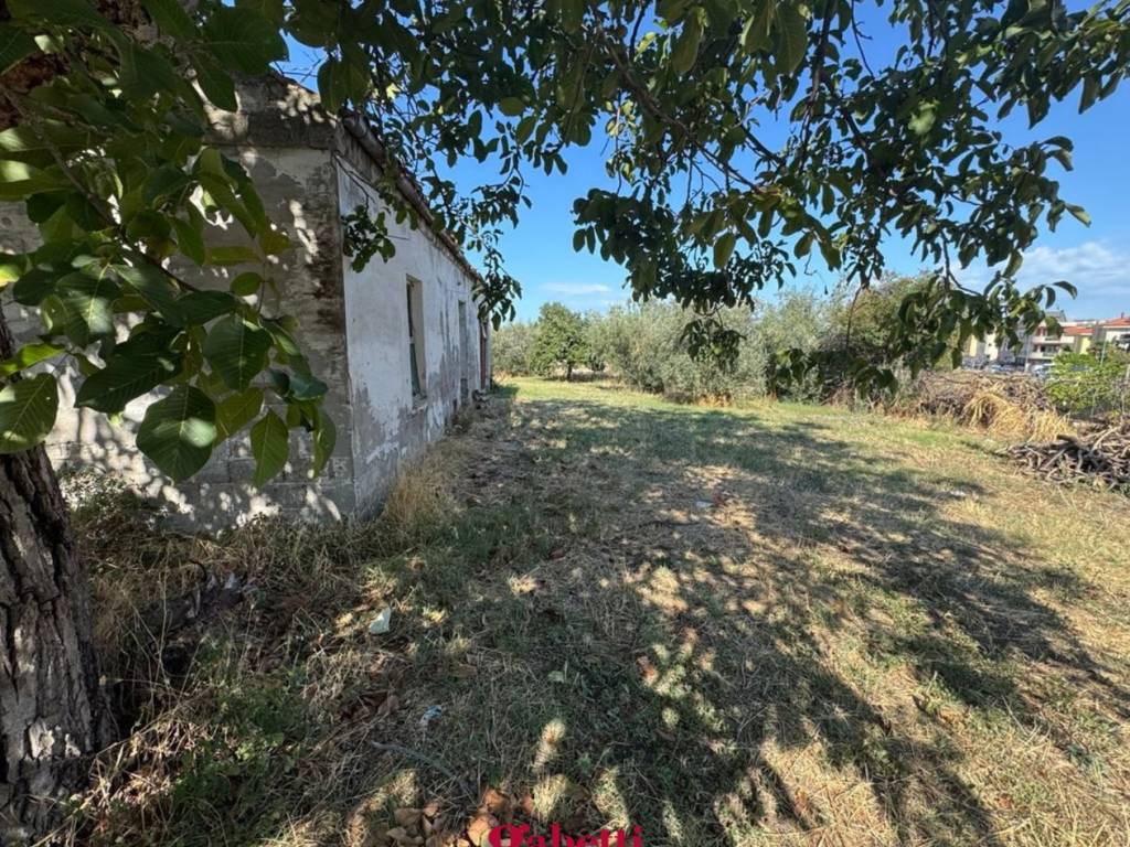 Rustico / casale a San salvo in via maiella, snc - Foto 4