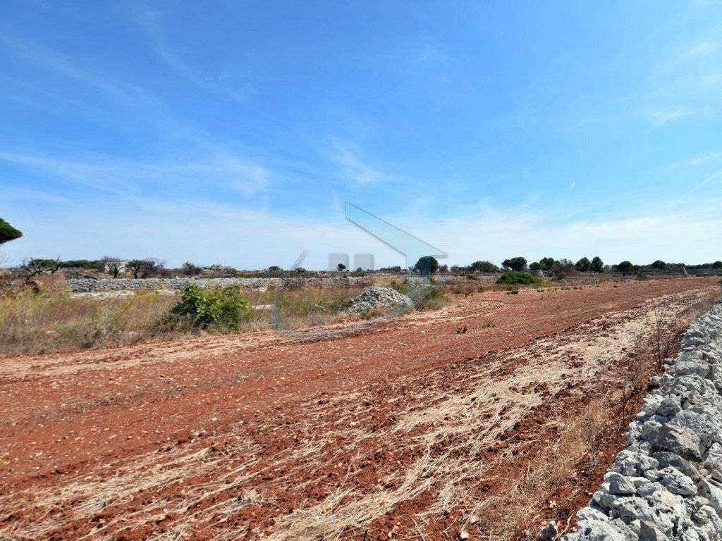 Terreno a Gagliano del capo in Strada Vicinale Chiani - Foto 2