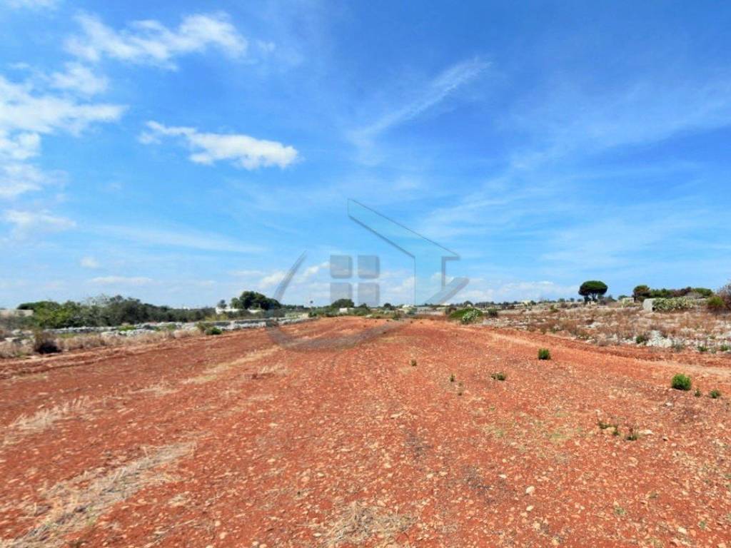 Terreno a Gagliano del capo in Strada Vicinale Chiani - Foto 3