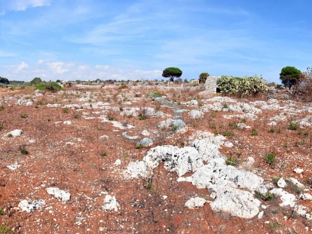 Terreno a Gagliano del capo in Strada Vicinale Chiani - Foto 4