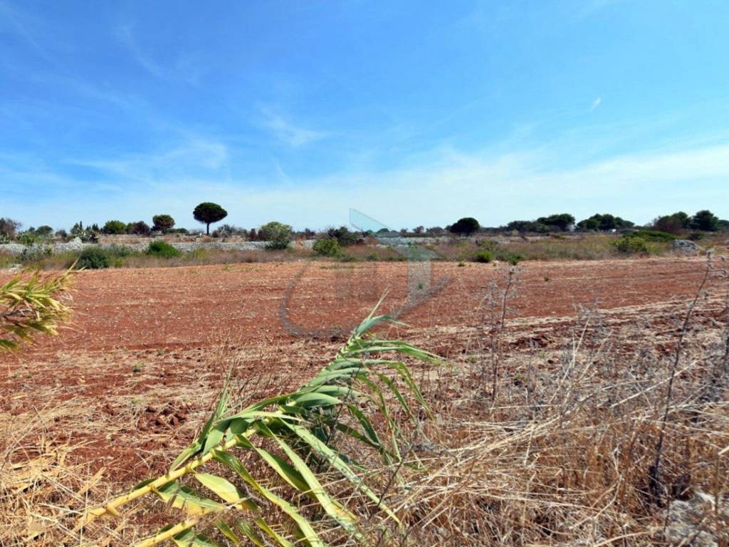 Terreno a Gagliano del capo in Strada Vicinale Chiani - Foto 5