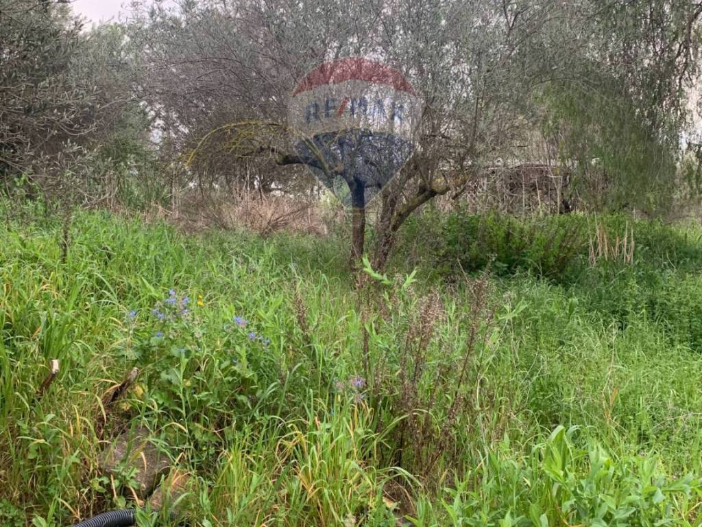 Villa a Caltanissetta in Contrada Misteci - Foto 3