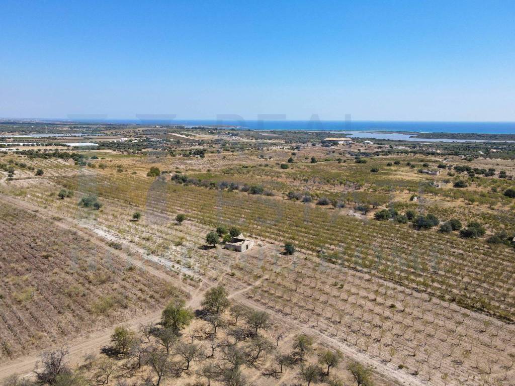 Rustico / casale a Noto in Via Tommaso Fazello, 228 - Foto 4