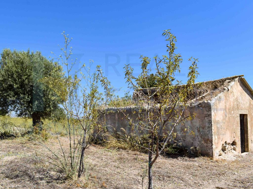 Rustico / casale a Noto in Via Tommaso Fazello, 228 - Foto 5