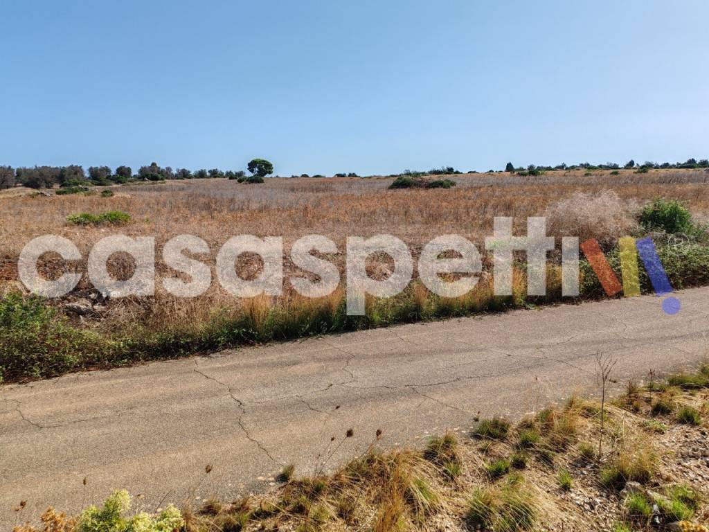 Terreno a Veglie in Strada Provinciale Veglie - Torre Lapillo - Foto 2
