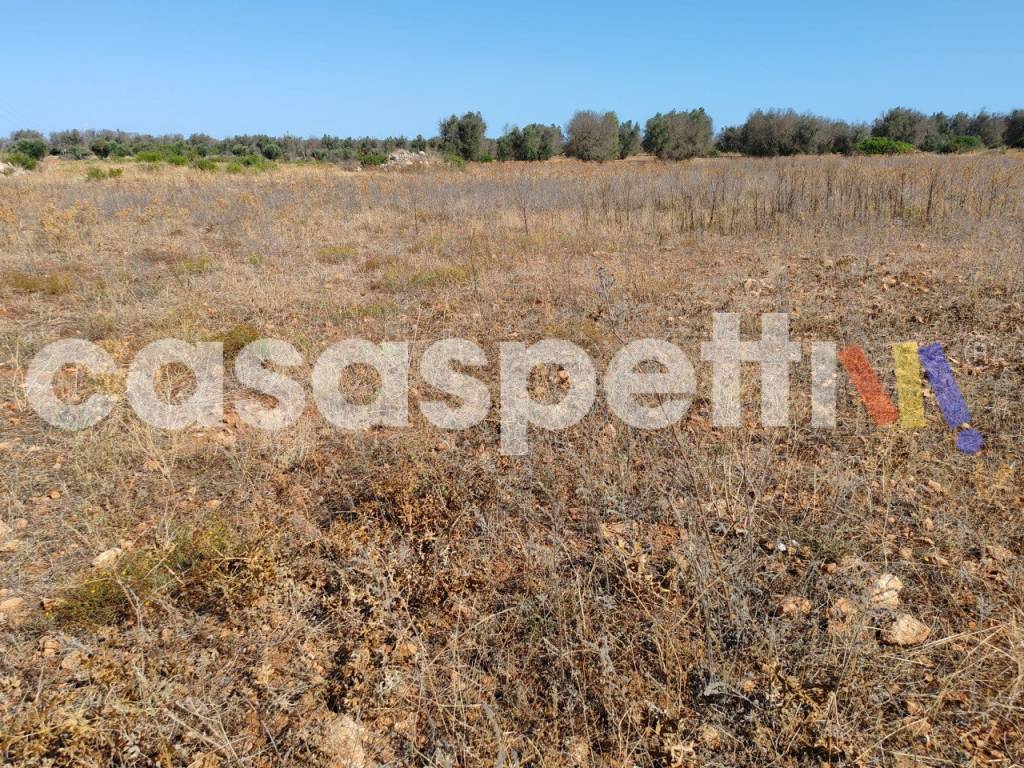 Terreno a Veglie in Strada Provinciale Veglie - Torre Lapillo - Foto 3