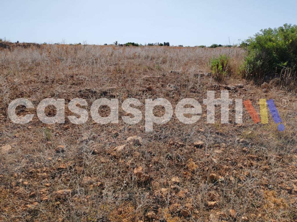 Terreno a Veglie in Strada Provinciale Veglie - Torre Lapillo - Foto 5