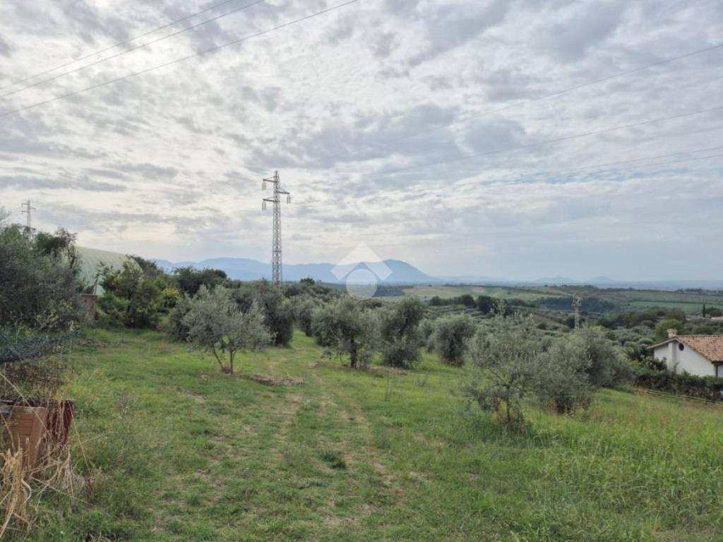 Casa indipendente a Montopoli di sabina in VIA SANTA MARIA - Foto 3