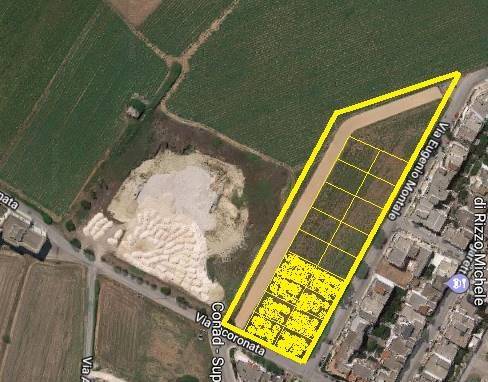 Terreno a Nardò - Foto 2