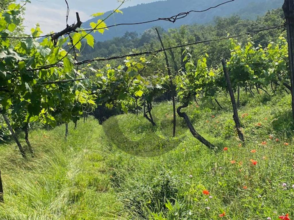 Terreno a Botticino in Via Ghiacciarolo Botticino - Foto 3