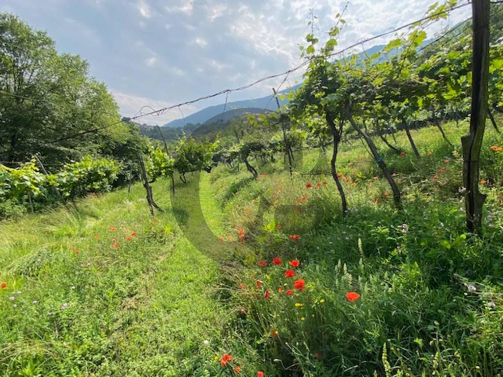 Terreno a Botticino in Via Ghiacciarolo Botticino - Foto 4