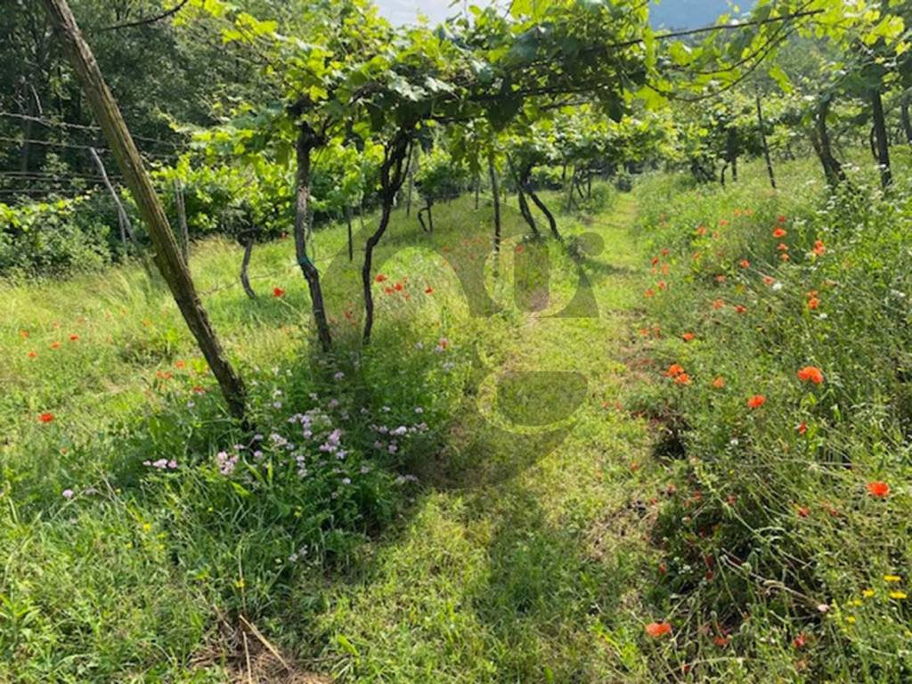 Terreno a Botticino in Via Ghiacciarolo Botticino - Foto 5