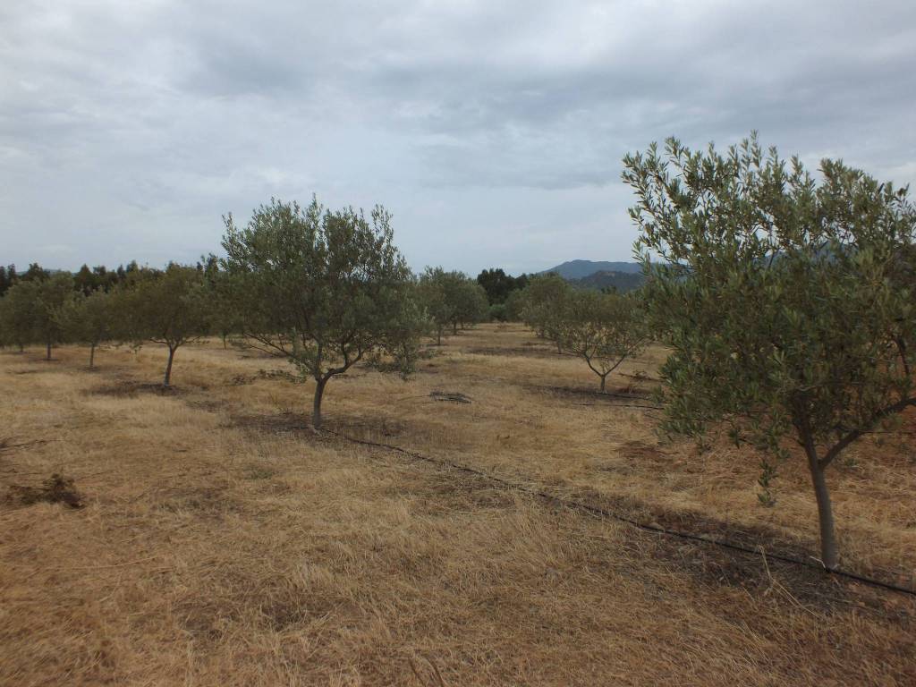 Terreno a Muravera in Via del Mare - Foto 4