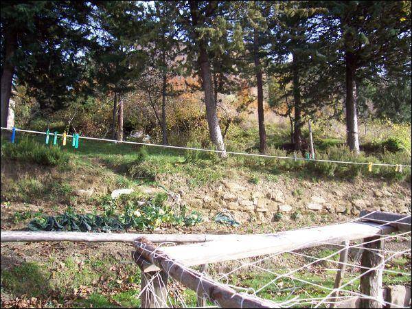 Casa indipendente a Valle castellana in Collegrato - Foto 2