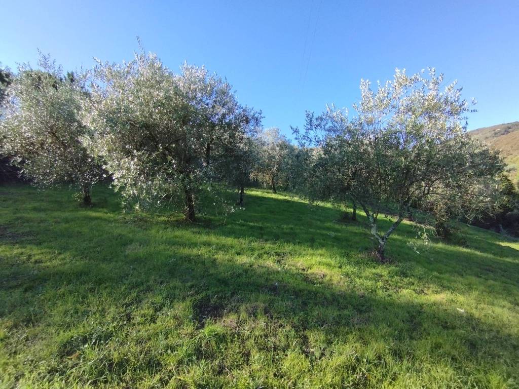 Terreno a Serravalle pistoiese in Via San Giusto - Foto 3