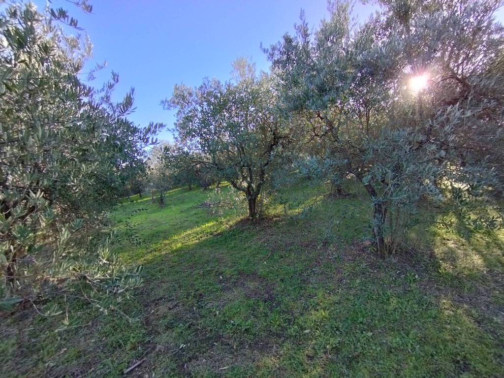 Terreno a Serravalle pistoiese in Via San Giusto - Foto 4