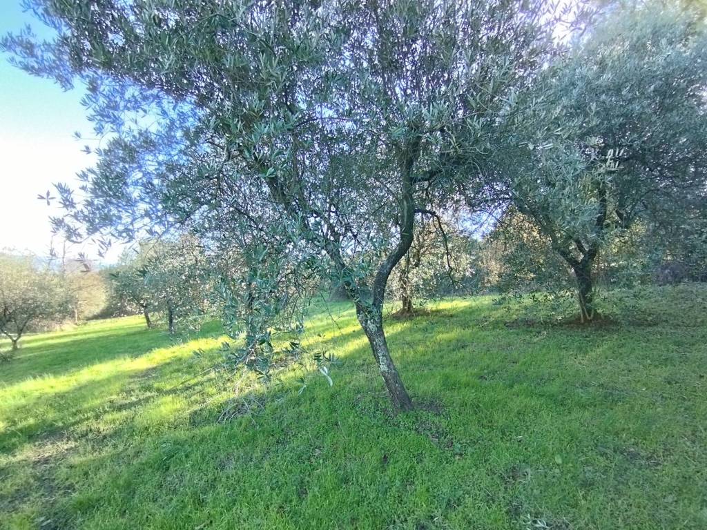 Terreno a Serravalle pistoiese in Via San Giusto - Foto 5