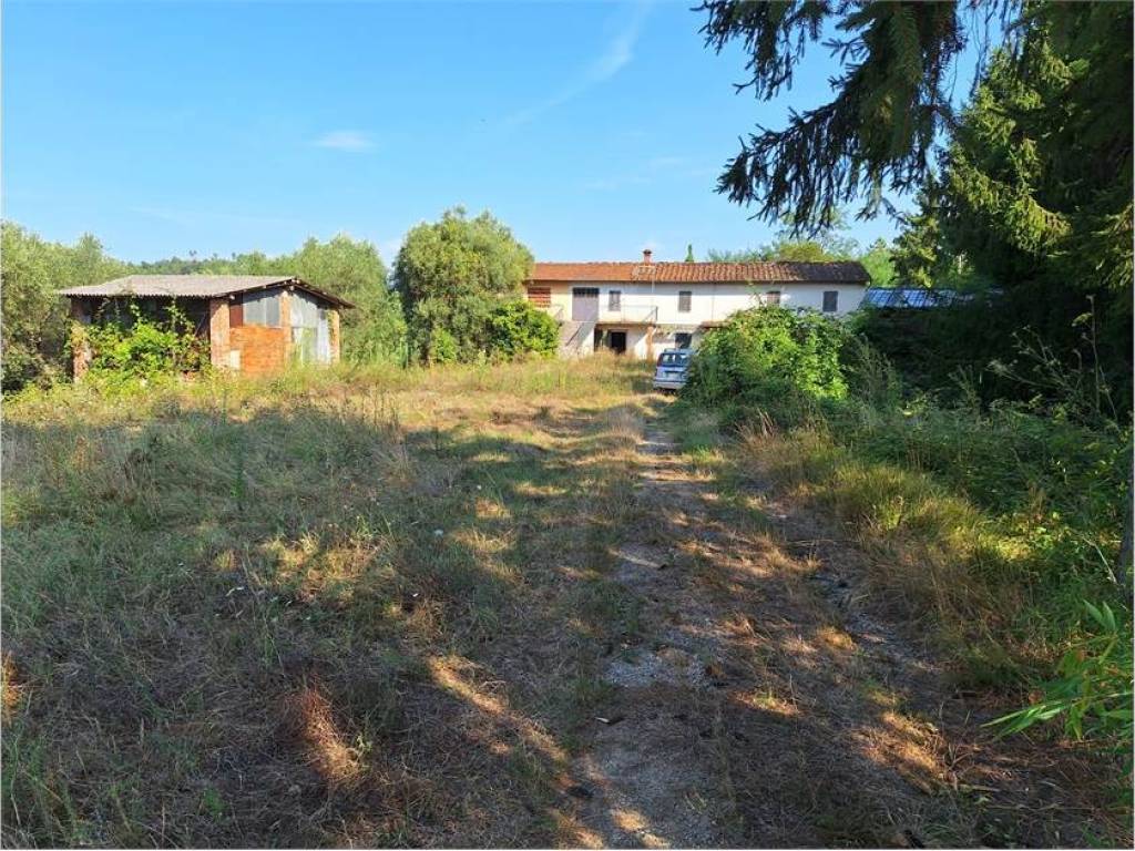 Rustico / casale a Buggiano - Foto 4