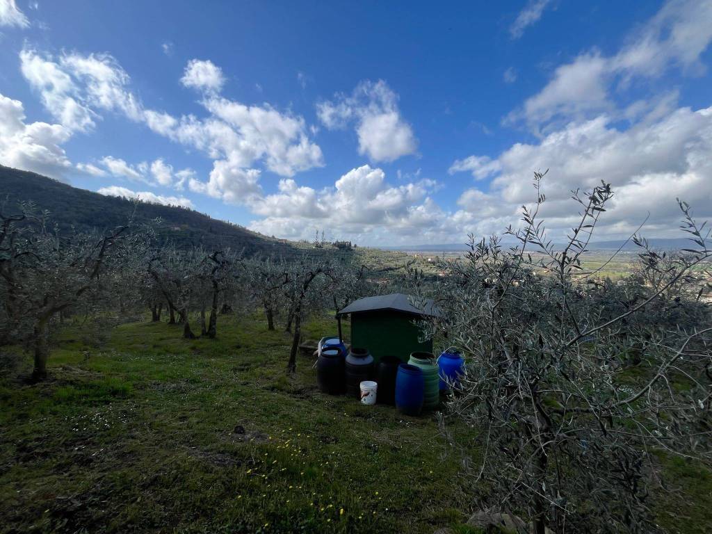 Terreno a Arezzo - Foto 2