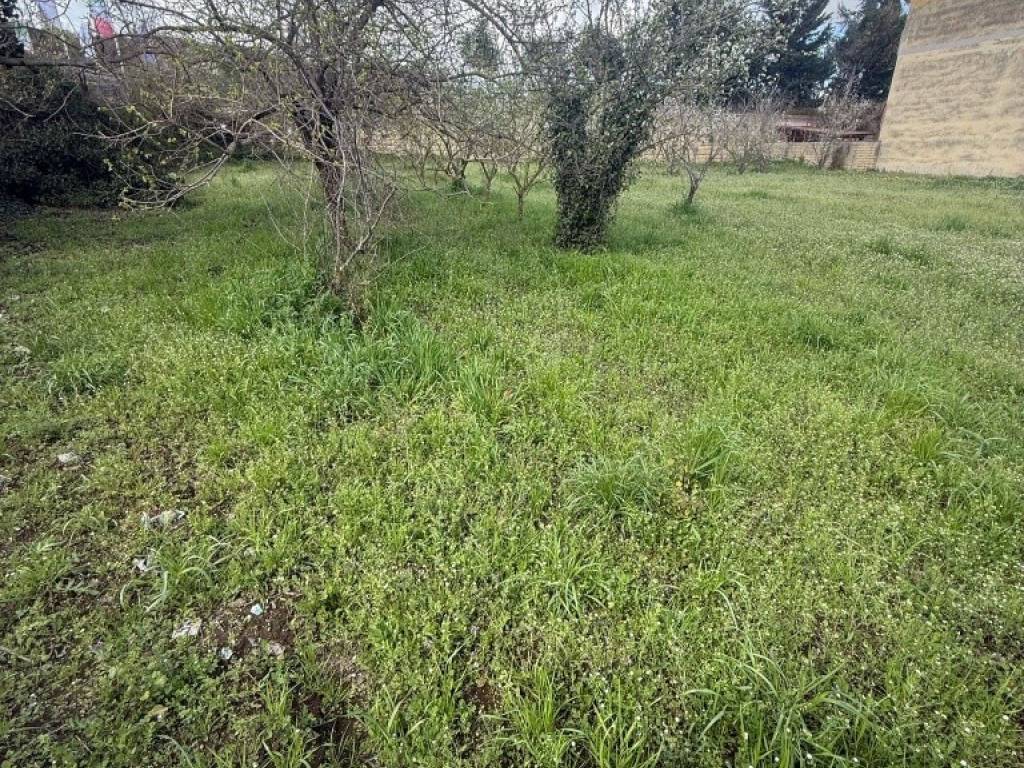 Terreno a Quarto - Foto 2