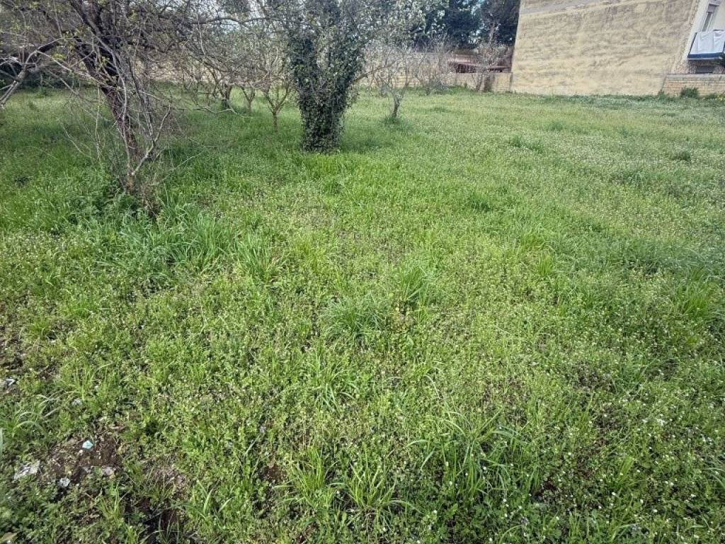 Terreno a Quarto - Foto 3