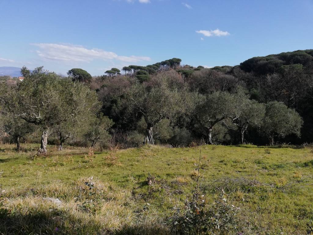 Terreno a Caiazzo in Strada Provinciale Ruviano, 2 - Foto 2