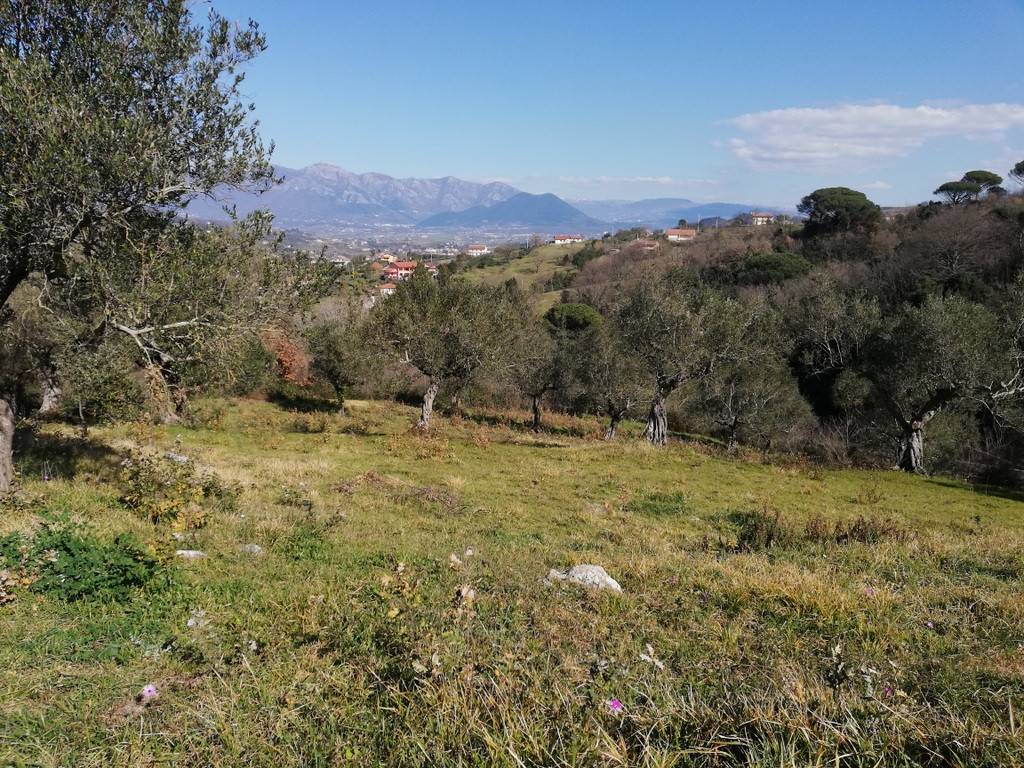 Terreno a Caiazzo in Strada Provinciale Ruviano, 2 - Foto 3