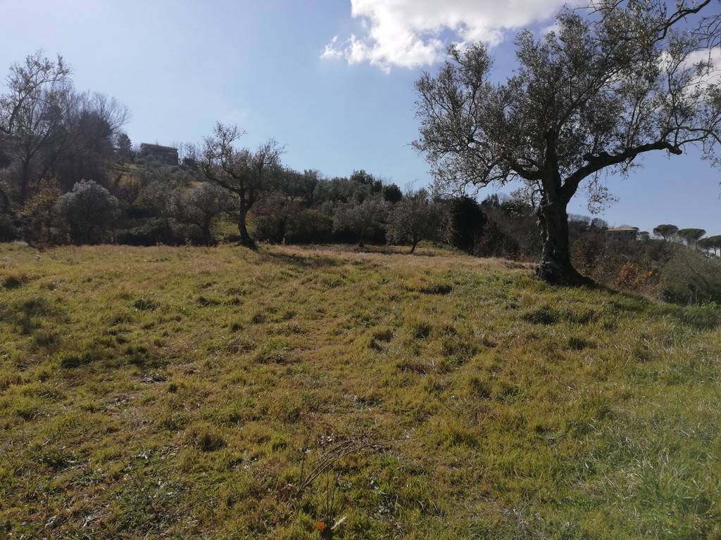 Terreno a Caiazzo in Strada Provinciale Ruviano, 2 - Foto 4
