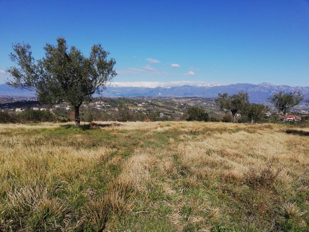 Terreno a Caiazzo in Strada Provinciale Ruviano, 2 - Foto 5