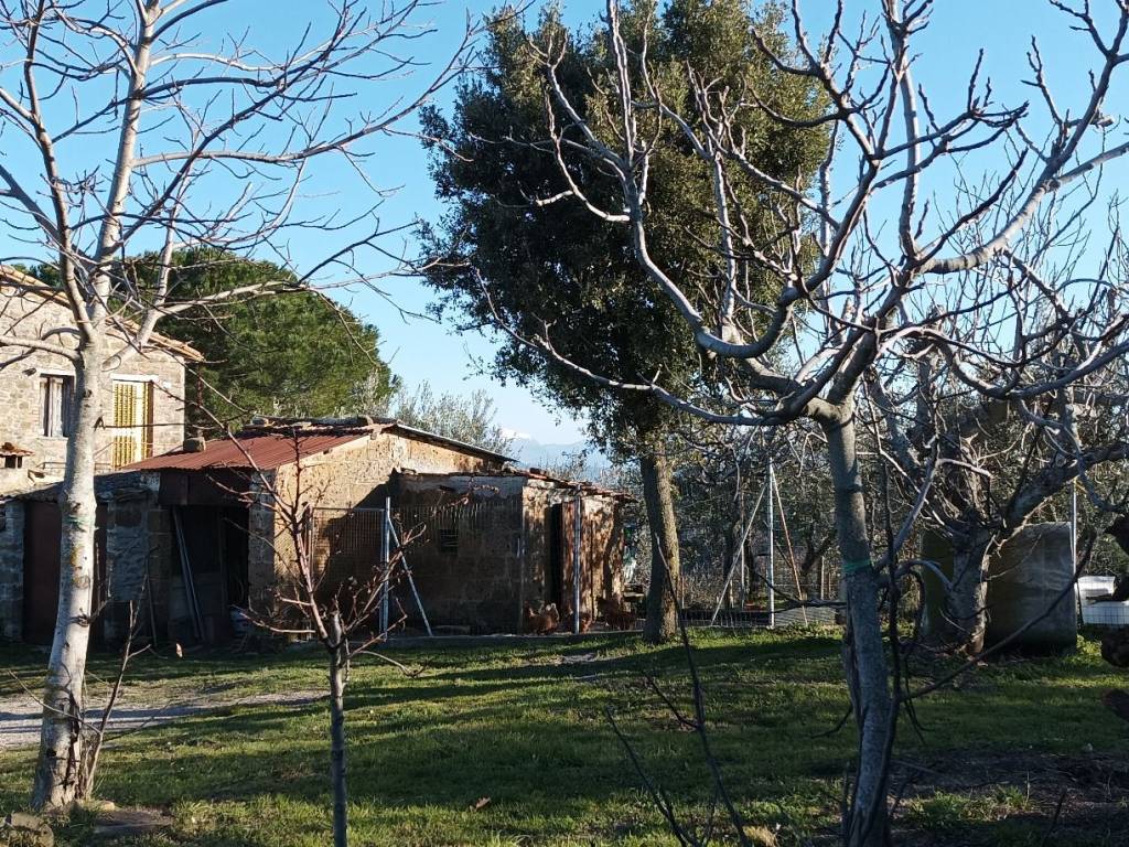 Rustico / casale a Cannara in Via Collemancio - Foto 2