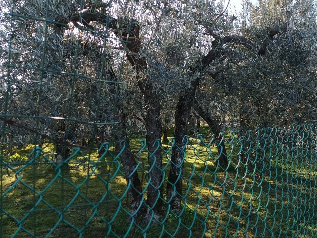 Rustico / casale a Cannara in Via Collemancio - Foto 3