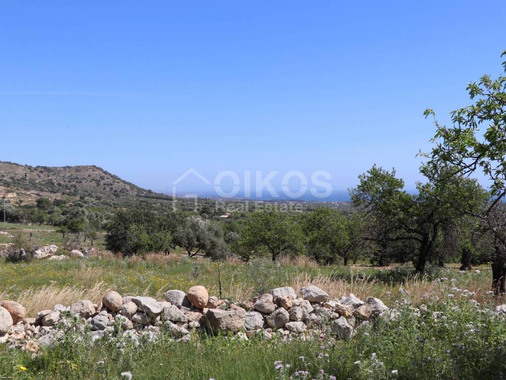 Terreno a Avola in C.da Carrubeto, 1 - Foto 3