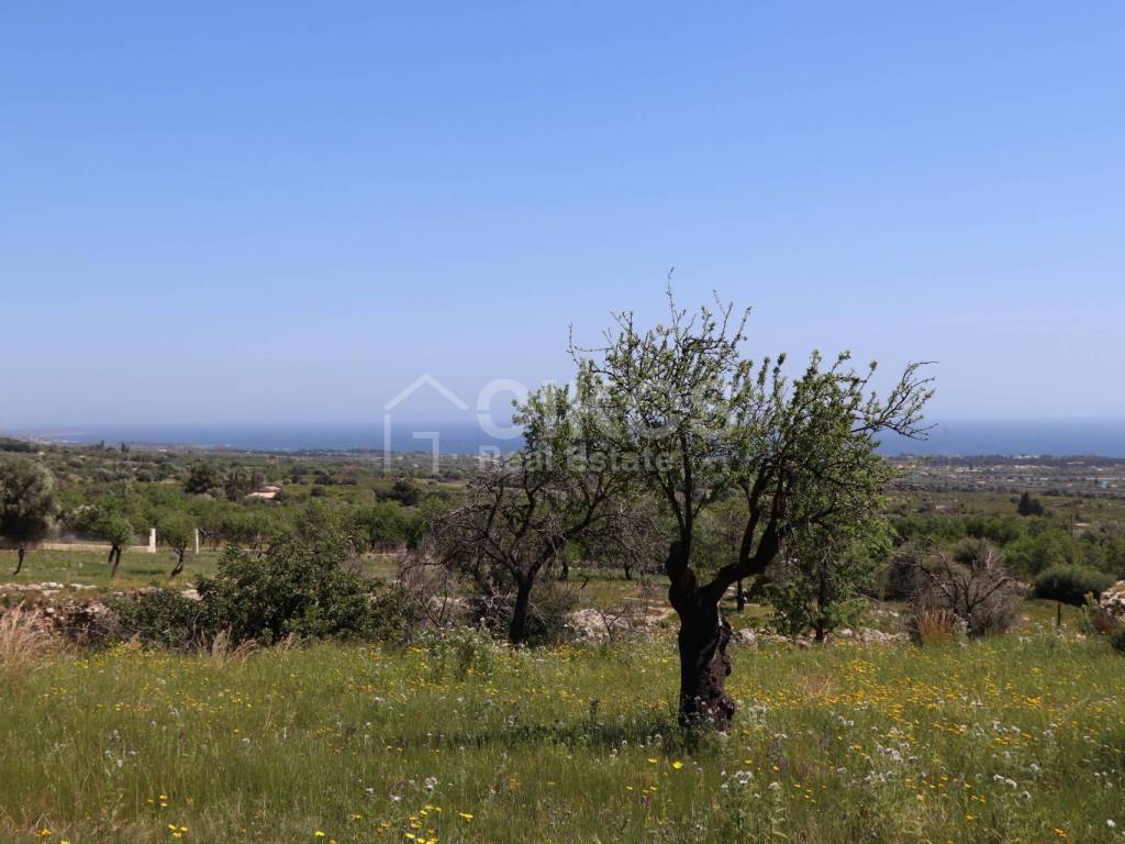 Terreno a Avola in C.da Carrubeto, 1 - Foto 4