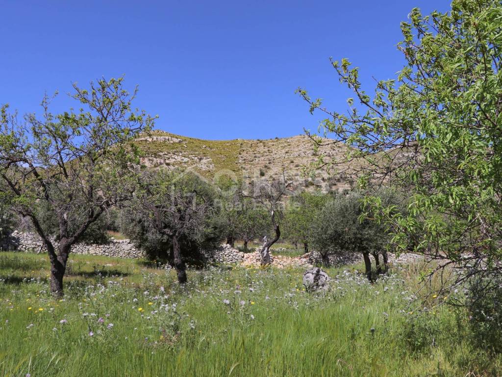 Terreno a Avola in C.da Carrubeto, 1 - Foto 5