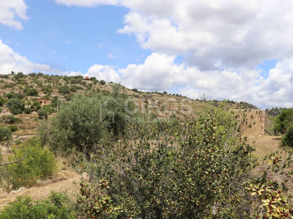 Terreno a Noto in C.da San Giovanni, 1 - Foto 5