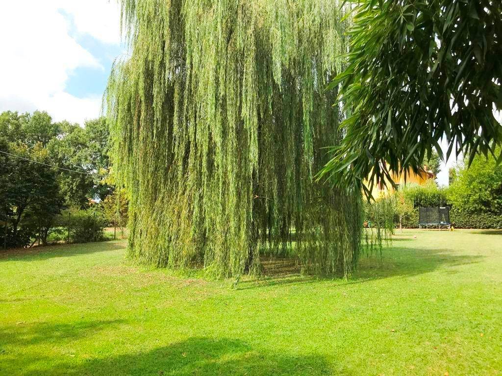 Villa a Altopascio in Via di Tappo - Foto 2