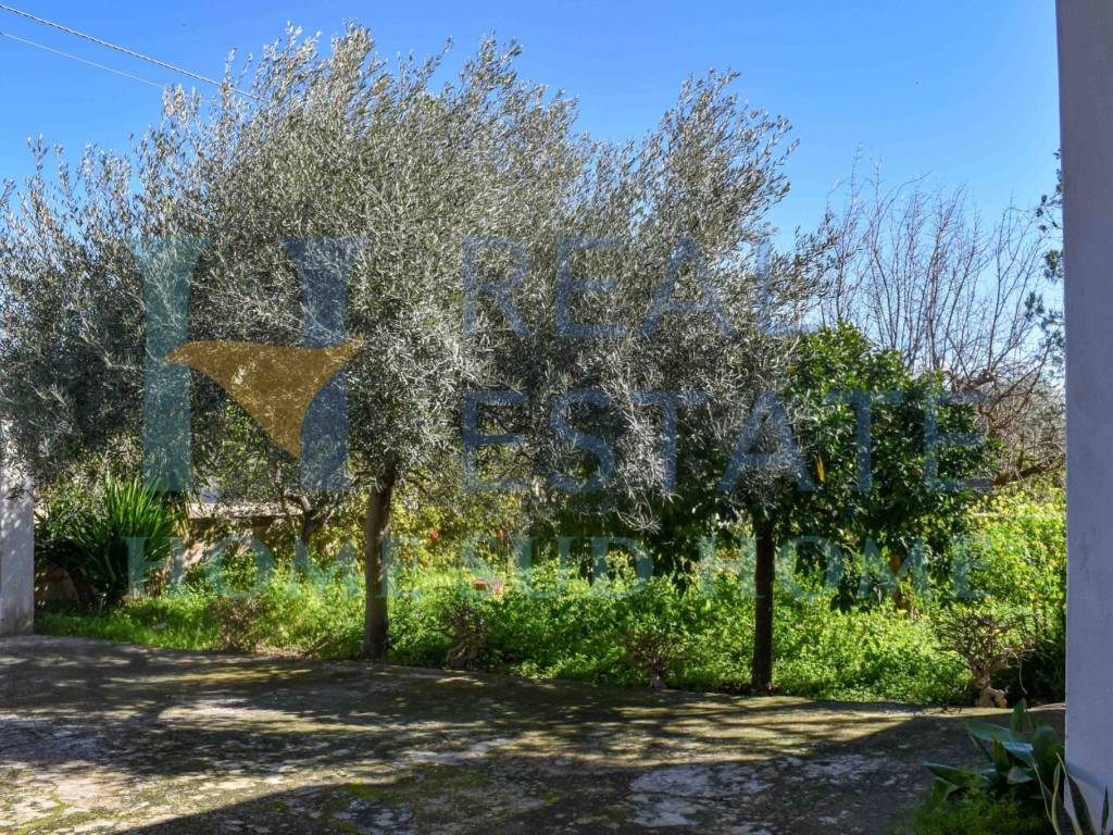 Villa a Noto in Via Tommaso Fazello, 228 - Foto 4
