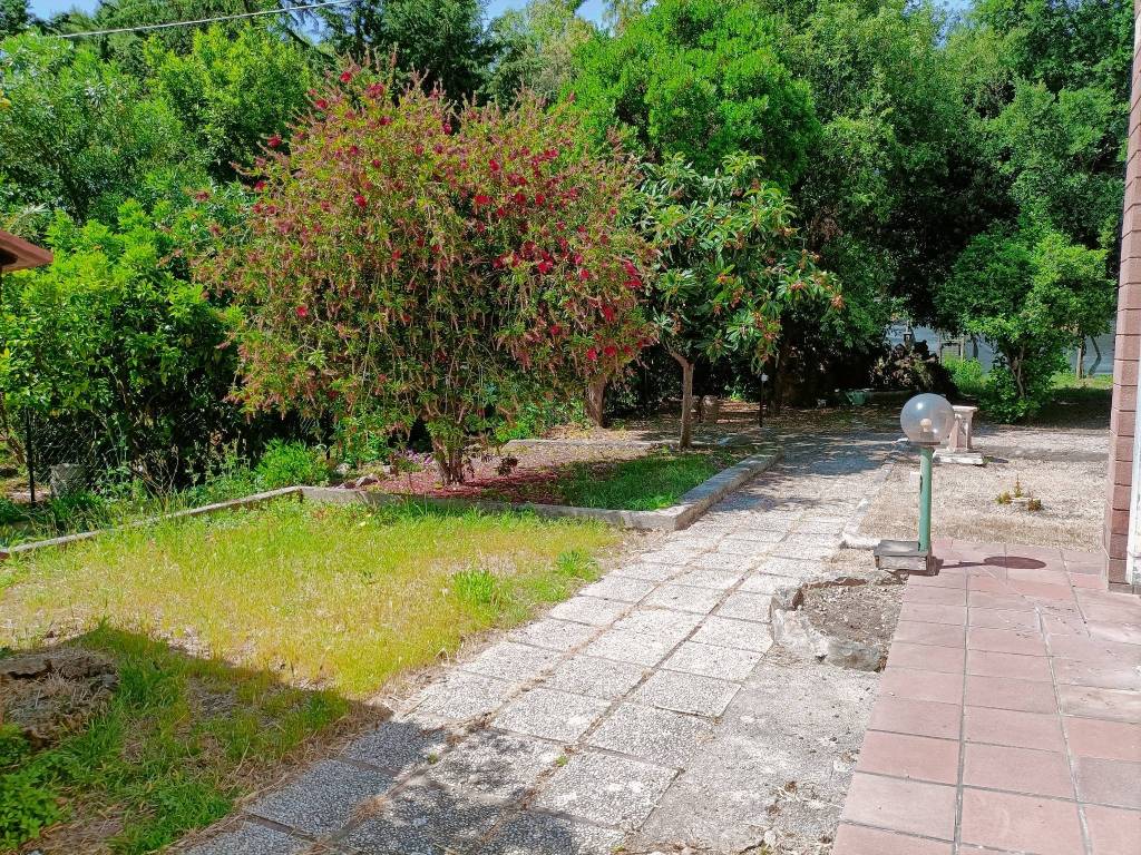 Villa a Orbetello - Foto 3